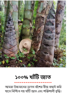 ১ প্যাকেট কিনলে ১ প্যাকেট ফ্রি: ৯৯৯ টাকা